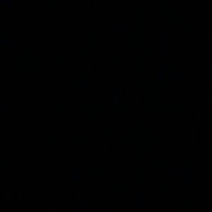 Meet your Posher, Nadianadia